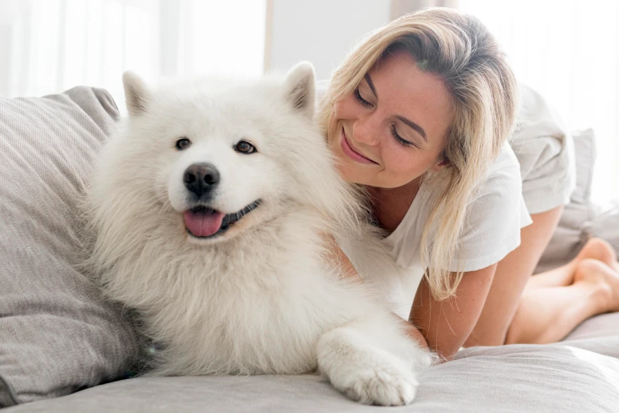 Reusable Pet Grooming Tool
