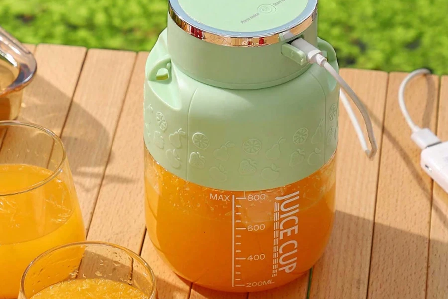 Large Capacity Personal Smoothie Maker